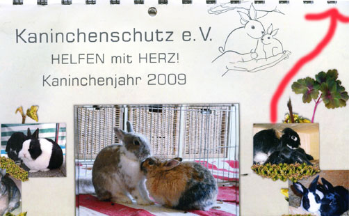 Kaninchenkalender 2009